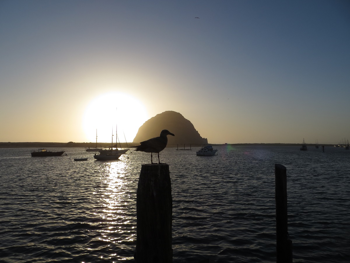 Morro Bay